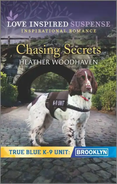 Chasing Secrets Price Drop