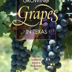 Factory Price Growing Grapes in Texas: From the Commercial Vineyard to the Backyard Vine