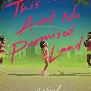 This Ain't No Promised Land: A Novel Budget
