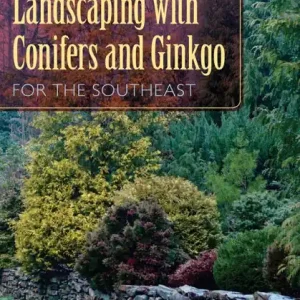 Cheap Landscaping with Conifers and Ginkgo for the Southeast