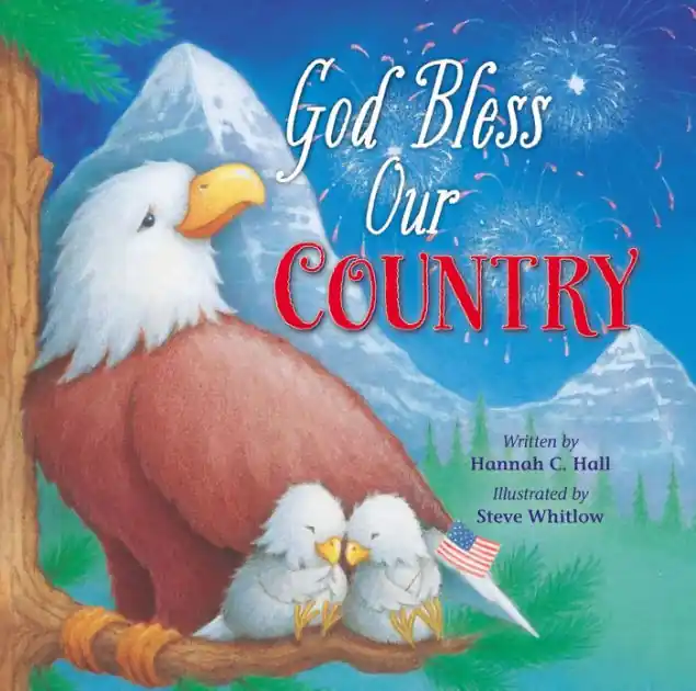 God Bless Our Country Low Price