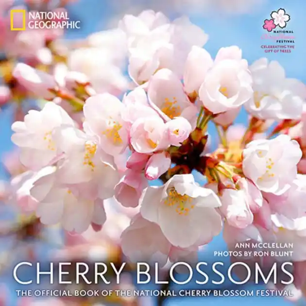 Cherry Blossoms: The Official Book of the National Cherry Blossom Festival Cheap