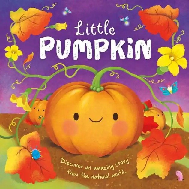 Nature Stories: Little Pumpkin-Discover an Amazing Story from the Natural World: Padded Board Book Seasonal Sale