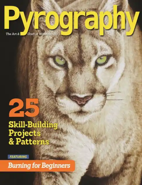 Pyrography Special Edition: 25 Skill-Building Projects & Patterns featuring Burning for Beginners Affordable