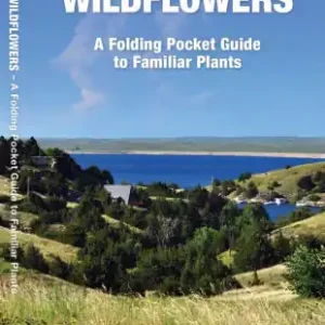 Top Rated Nebraska Trees & Wildflowers