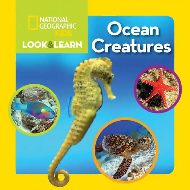 National Geographic Kids Look & Learn: Ocean Creatures Exclusive Offer