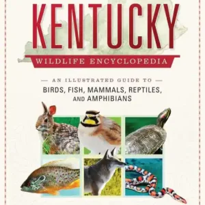 Kentucky Wildlife Encyclopedia: An Illustrated Guide to Birds, Fish, Mammals, Reptiles, and Amphibians Low Price