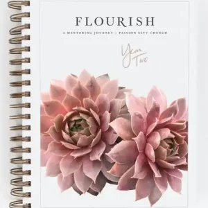 Budget Flourish: A Mentoring Journey - Year Two