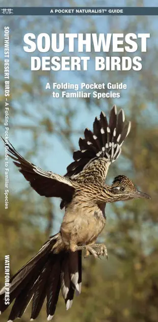 Buy Online Southwest Desert Birds