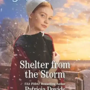 Shelter from the Storm: A Fresh-Start Family Romance Fast Shipping