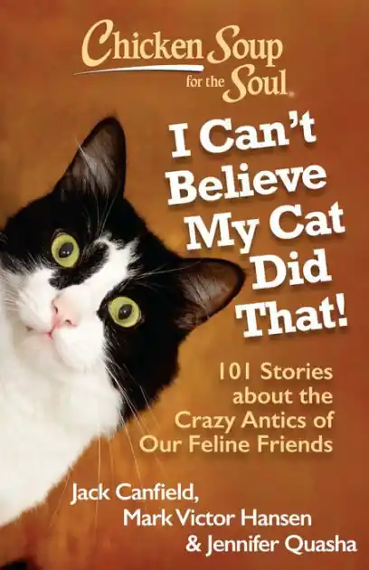 Chicken Soup for the Soul: I Can't Believe My Cat Did That!: 101 Stories about the Crazy Antics of Our Feline Friends Crafted