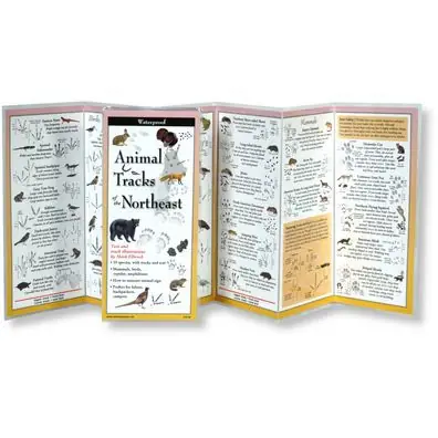 Animal Tracks of the Northeast Best Price