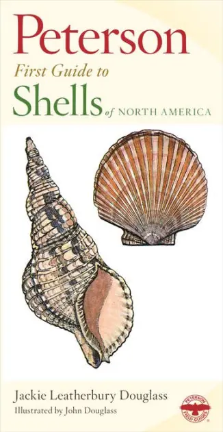 Hot Deal Peterson First Guide To Shells Of North America